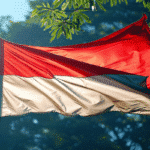 indonesian-presidential-election-results-contested-over-allegations-of-fraud