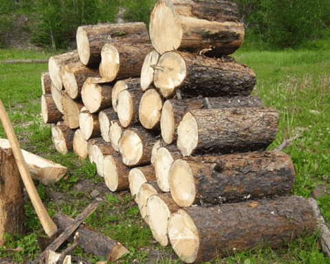 umweltbundesamt-erklärt-holzheizungen-für-klimaschädlich