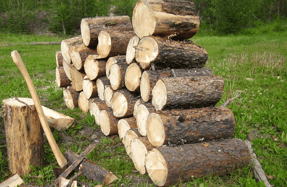 umweltbundesamt-erklärt-holzheizungen-für-klimaschädlich