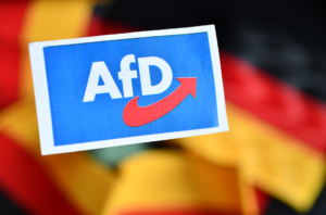 afd-präsentiert-wahlprogramm-für-2025